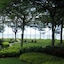 Miri Marriott Resort & Spa