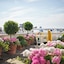 The Dorchester - Dorchester Collection