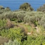 Relais Regina Giovanna