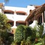 Pelicano Inn Playa Del Carmen - Beachfront Hotel