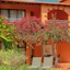 Quinta Splendida Wellness & Botanical Garden