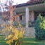 La Sayuela