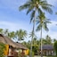 Elixir Koh Yao Yai