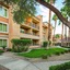 Desert Rose Resort