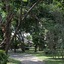 Matahari Bungalow