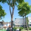 Hotel Drim & Spa