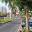 Villa Las Flores