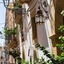Alla Giudecca