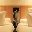 Hotel Emiliano