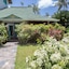 Hotel Residence Playa Colibri
