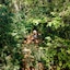 Vivaz Cataratas Hotel & Resort