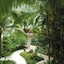 Shangri-La's Mactan Resort & Spa
