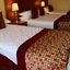 The Rose Hotel