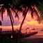 Tamarind Beach Hotel & Yacht Club