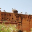 Riad Carina