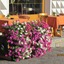 Hotel Duc De Rohan