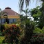Hotel Palma Real
