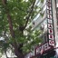Hotel Abro Necatibey