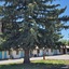 The L Motel