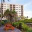 Vistana Beach Club