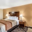 Comfort Inn & Suites North Aurora - Naperville