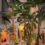 Riad 72