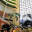Sheraton Voyager Resort & Spa