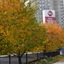 Best Western Plus City Center