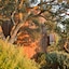 Post Ranch Inn