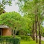 Sukhothai Treasure Resort & Spa - Sha Plus
