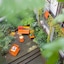 Buxbaum Beletage Design & Boutique Hotel