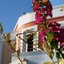 Heliotrope Hotels
