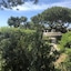 Domizia Palace Hotel