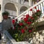 Hotel Vila Tina
