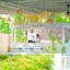 Soul Vacation Resort And Spa, Colva