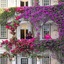 The Winchester Hotel By Newmark