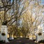 Lanzerac Hotel & Spa