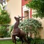 Best Western Saint Louis