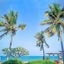 Purimuntra Resort & Spa
