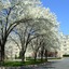 Hilton Pearl River
