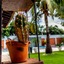 Delcas Hotel