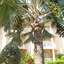 Holiday Inn Resort Grand Cayman By Ihg