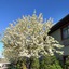 Super 8 By Wyndham Baxter Brainerd Area