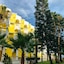 Playa Bonita Resort