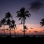 Longuinhos Beach Resort