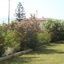 Leonidas Hotel And Studios