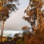 River Vineyard Retreat