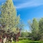 Best Western West Lebanon- Hanover Hotel