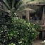 Be Destination Tulum