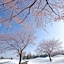 Atema Kogen Resort Belnatio